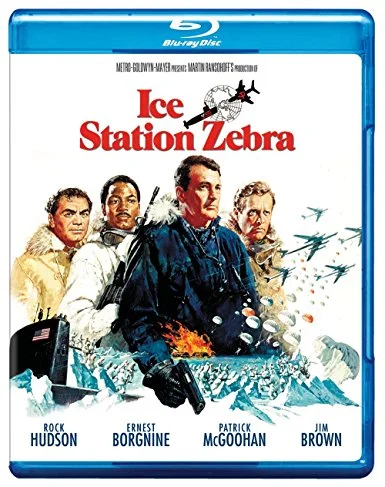 Eisstation.Zebra.webp
