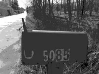 5085.webp