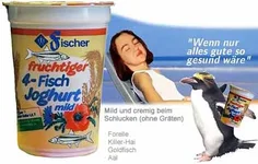 13656.webp