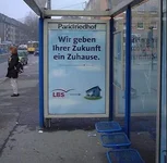 13655.webp