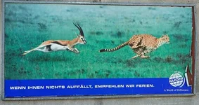 13674.webp