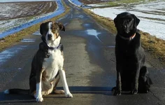 Aiko & Jakob.webp