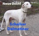 Unbenannt.webp