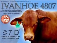 Ivanhoe_4807.webp