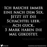 15319316.webp