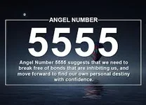 5555.webp