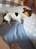 0b483e5e-9747-4c0b-858e-205769423c09.webp