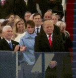 tumpbymiandres.gif