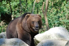 Tierpark-16.9.2012.webp