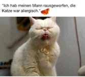 gqscvoyw.webp