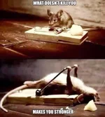mouse.webp