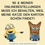 katzi.webp