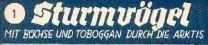 Sturmvögel.webp Sturmvögel.webp