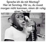 Unbenannt.webp