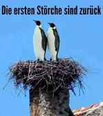 Unbenannt.webp
