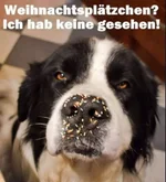 Unbenannt.webp