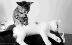 Massage.gif