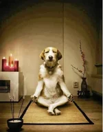 meditation.webp
