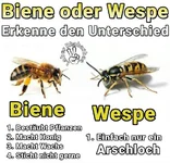 13226755_705545859587048_5834924936785219483_n.webp