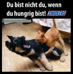 Hunger.webp