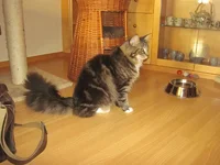 selim.webp
