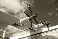 antonov1.webp