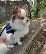 20190913_234014-1.webp