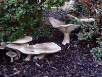 20151027_161232.webp