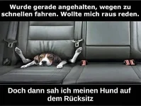Rücksitz.webp