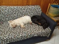 IMG_20161229_195531.webp