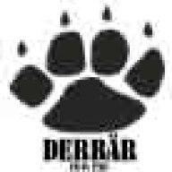 derBär