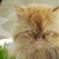 Wusel