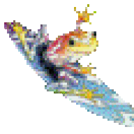 frog69