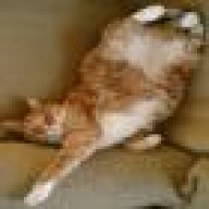 Garf12