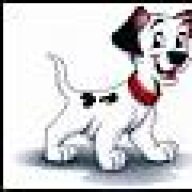 dalmidog