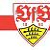 VfB Fan
