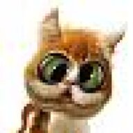 Wixfrosch