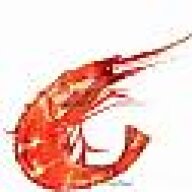 Shrimpy