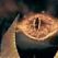 Sauron