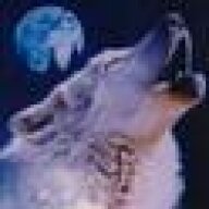 wolfer0950