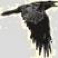 raveno