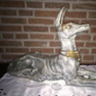 schamallahund
