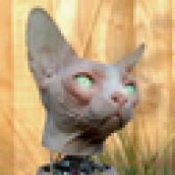 tom_cat