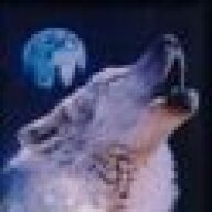 wolf2210