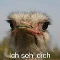 germanhuman