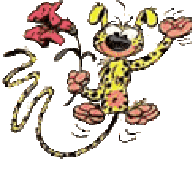 marsuhuba