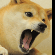 kampfkiwi