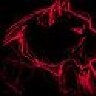 DragonSoul66