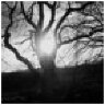 Broken Sword