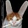 KoPNeO